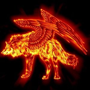 Meet your Posher, Ashlyn